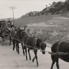 5c8a53082400004205a2f08f