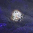 Aspirante a Reina del Carnaval