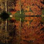 5c8a89f1360000c81a6b98a9