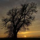 5c8a89f22300005400e6b0a4