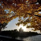 5c8a89f2360000a61b6b98ad