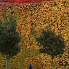 5c8a89f3360000a61b6b98b1