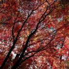 5c8a89f320000043046f4694