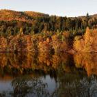 5c8a89f42300000401233955