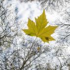 5c8a89f425000058068143a0