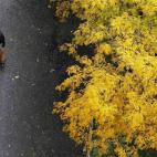 5c8a89f42400006c05a33366