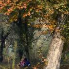 5c8a89f52500000704c929fd