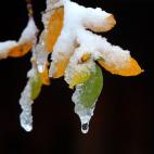 5c8a89f536000006186b98bd