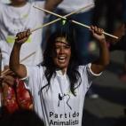 5c8ab9112400000a05a38f88