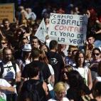 5c8ab9132500005806819f54