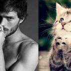 5c8ad9eb2300003000e749ca