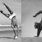 5c8ad9eb230000040123d280