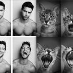 5c8ad9ec2300005300e749ce