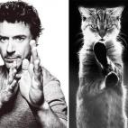 5c8ad9ec20000045046fdd55