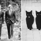 5c8ad9ed2300002f00e749d0