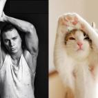 5c8ad9ed220000510019fdba