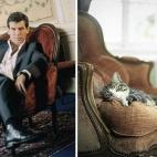 5c8ad9ed240000f404a3cd67