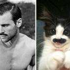 5c8ad9ee2000009d036fdd57