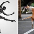 5c8ad9ee2500000704c9c27f