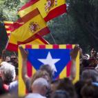 5c8a8ca120000045046f49b6