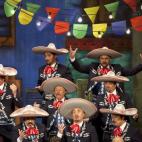 5c8a532a2000009d036f0461