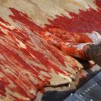 5c8a56032500005806810511