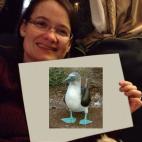 5c8b23d83b000070066d131f