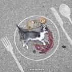 5c8b30062000009d03705b1f