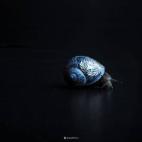 5c8b3007360000ba1a6cadd7