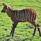 5c8b28ed24000093024d01f0