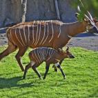 5c8b28ee22000051001a6fc4