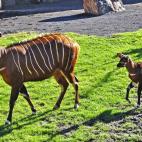 5c8b28ee2300003000e7ba03