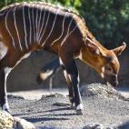 5c8b28ef240000f7054d01f6