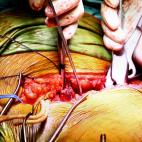 La verdad, no resulta muy tranquilizador.