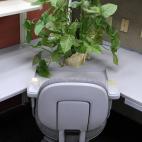 De ahí tanto recorte…