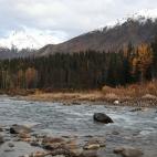 Una imagen propia de otros entornos