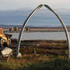 Trabajos en un camino de evacuación al fondo de dos huesos de la mandíbula de una ballena