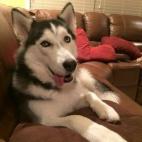 "La adoro por ser la más dulce, cabeza loca y feliz de todas compañías que he tenido en mi vida".