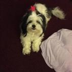 "Adoro a mi perrita porque es parte de mi familia. Un animalito bien especial".