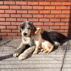 "¡Mira nomás! ¡Cómo no amar esa pancita!".