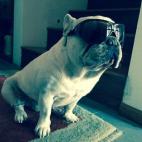 "¡Este es mi Moncho! Tough life!".