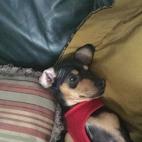 "Mi chiqui, lo adoro, siempre happy".