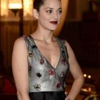 5c8aeec0360000ba1a6c4c25