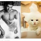 deshommesetdeschatons.tumblr.com