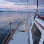 yachtcats.tumblr.com. Cada foto, con una historieta, en inglés.