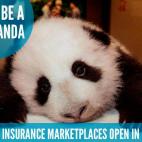 adorablecareact.tumblr.com/