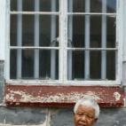 5c8ae54d3b000002076cc00c