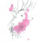 5c8b6d222000009d0370baa7