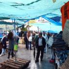 5c8b77f5200000450470d769