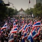 5c8b717d2400006d054d7e13